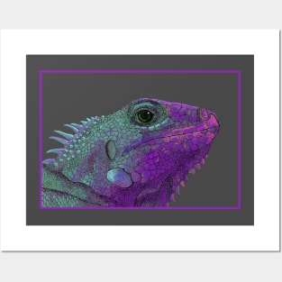 Purple Iguana Posters and Art